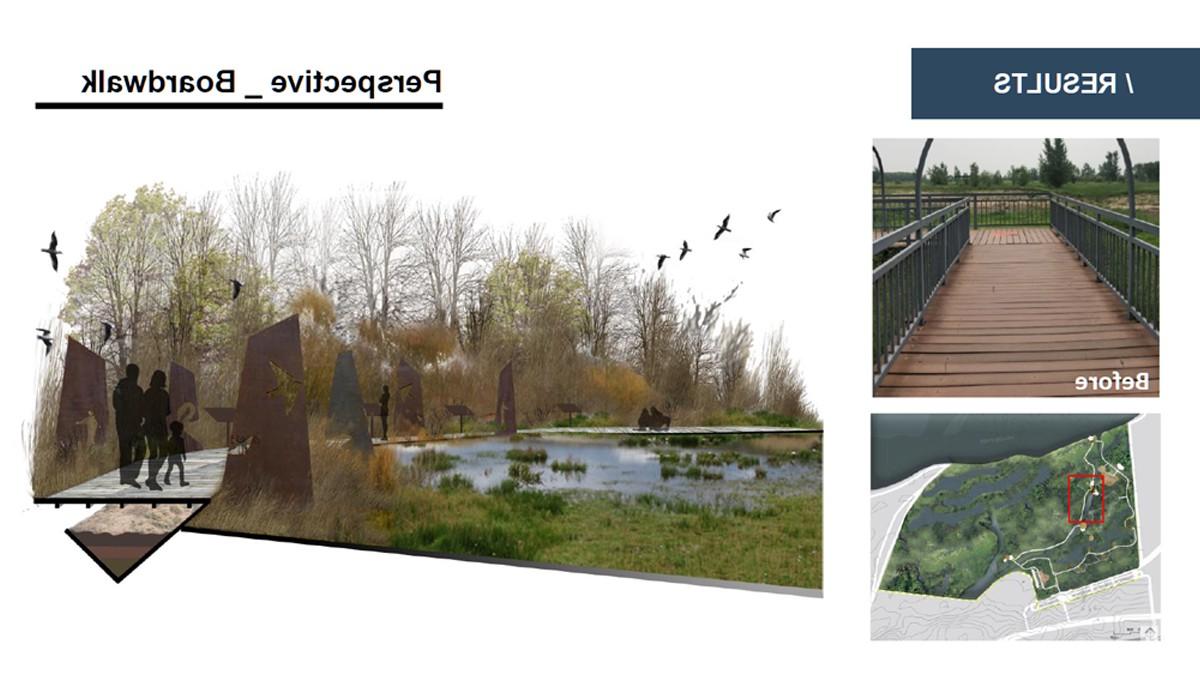 Landscape Architecture student project for a boardwalk through a wetland, including a before picture of the current wooden boardwalk and a rendering of a proposed design for a lowered walkway lined with modern sculpture.